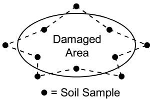 A diagram of a star-like sampling pattern for a damaged area in a crop, with 10 circles indicating where to take soil samples.