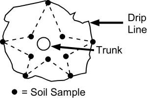 A diagram of a star-like sampling patten for an individual tree or shrub. A solid line indicates the drip line and 10 circles indicating where to take soil samples