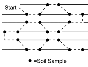 A diagram of a soil sampling pattern for row crops, with 20 circles indicating where to take soil samples along each row.