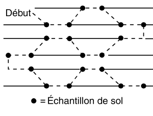 Diagramme d’un modèle d’échantillonnage du sol sur des cultures en rangs, avec 20 cercles indiquant où prélever des échantillons de sol le long de chaque rangée.