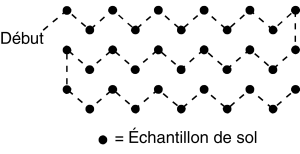 Diagramme d’un modèle d’échantillonnage de sol en zigzag pour un champ, avec 33 cercles représentant l’endroit où prélever des échantillons de sol.