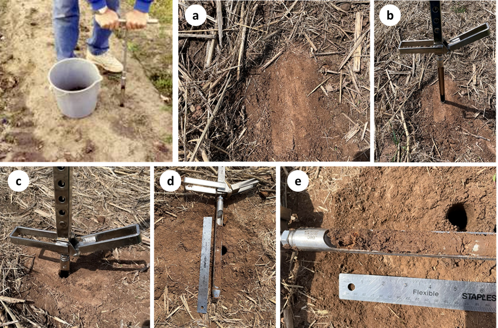 Someone sampling soil with a 2.5 cm diameter soil probe.