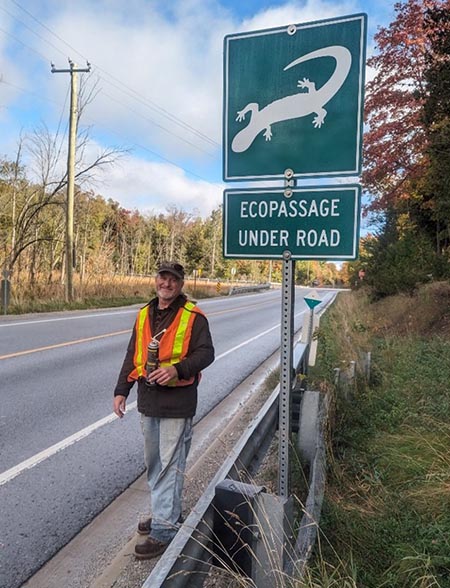 man standing beside a salamanders ecopassage sign