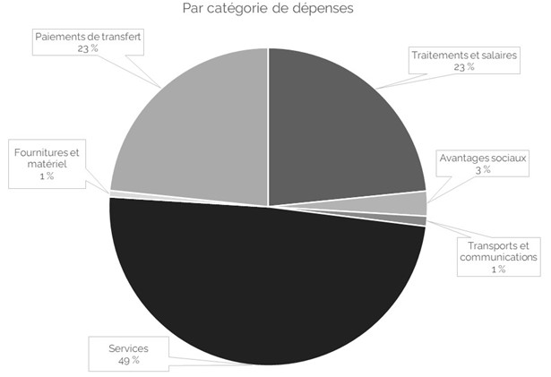 Graphique circulaire représentant la répartition des comptes standards du ministère. Les catégories sont : "Services" (49%), "Transferts de paiements" (23%), "Salaires et traitements" (23%), "Avantages sociaux" (3%), "Fournitures et équipements" (1%) et "Transports et communication" (1%).