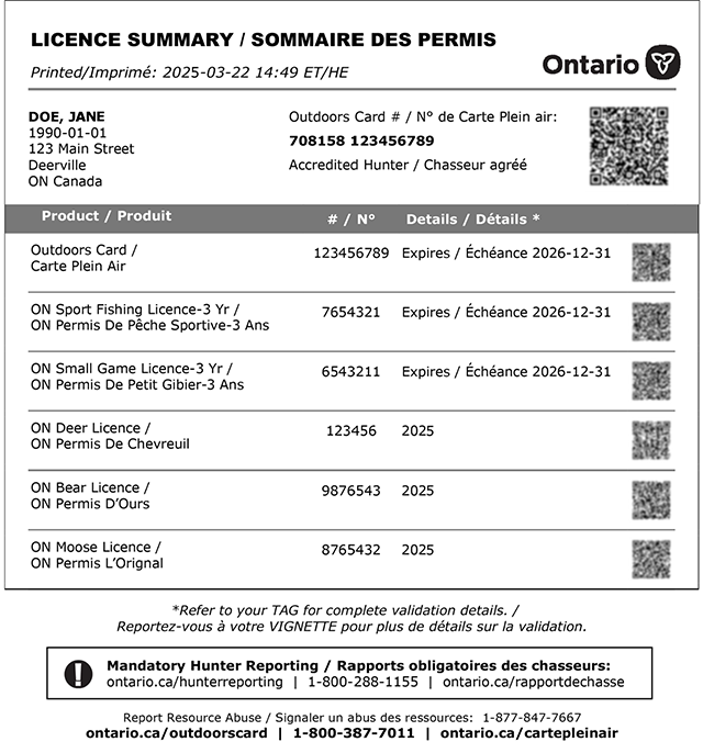 licence summary