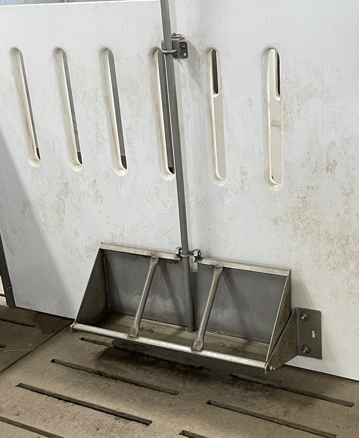 A trough drinker shown on the wall of a swine barn.