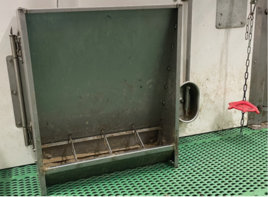 A trough feeder on the wall of a swine barn with a drinker and an enrichment feature beside it.