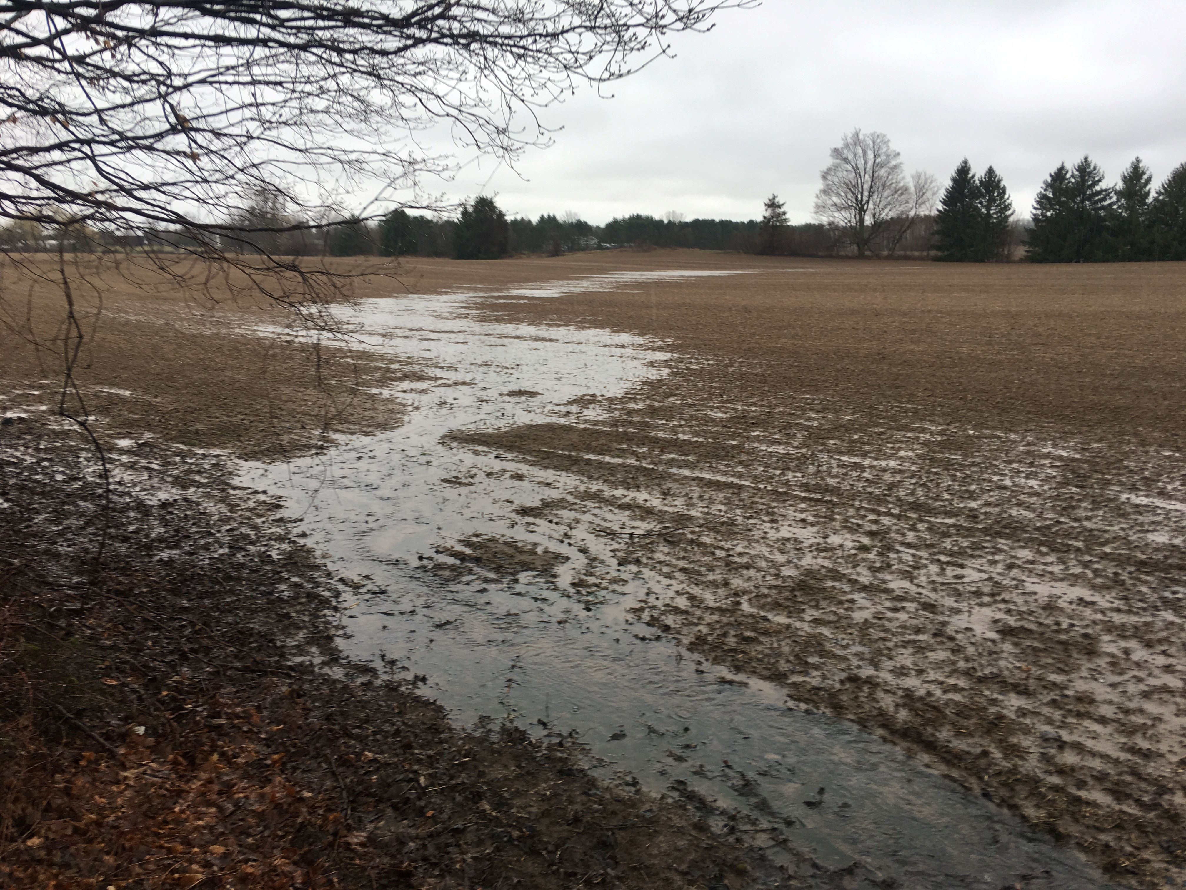 an agricultural field with no crops present. A meandering path of surface water is flowing from the back of the field (upper middle of the photo) to the bottom of the field (bottom of the photo)
