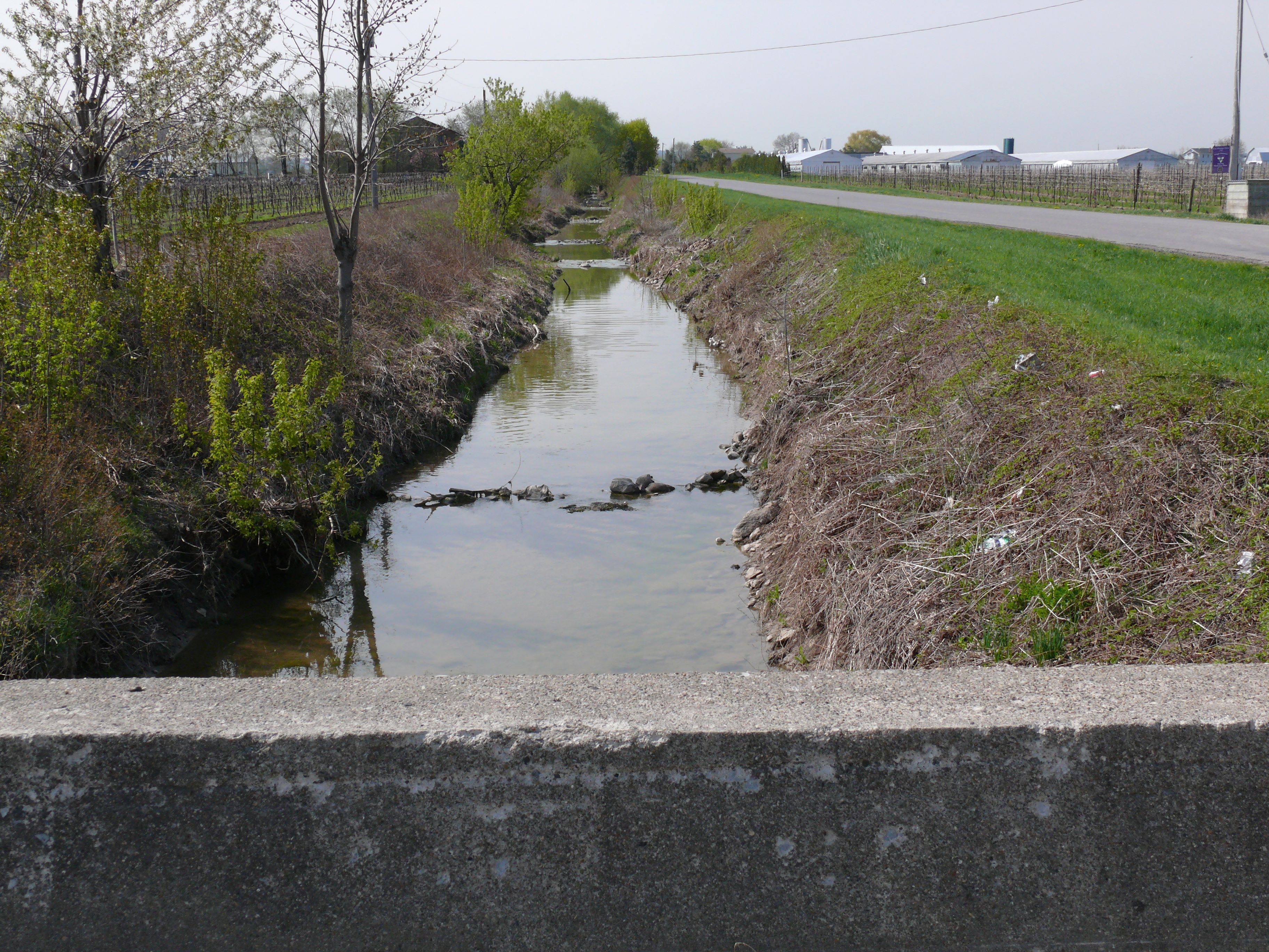 a ditch or drain running through the centre of the photo adjacent to a road that is along the right side of the picture