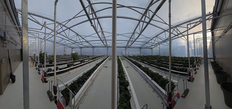 Greenhouse that enables food to be grown in any climate across Canada