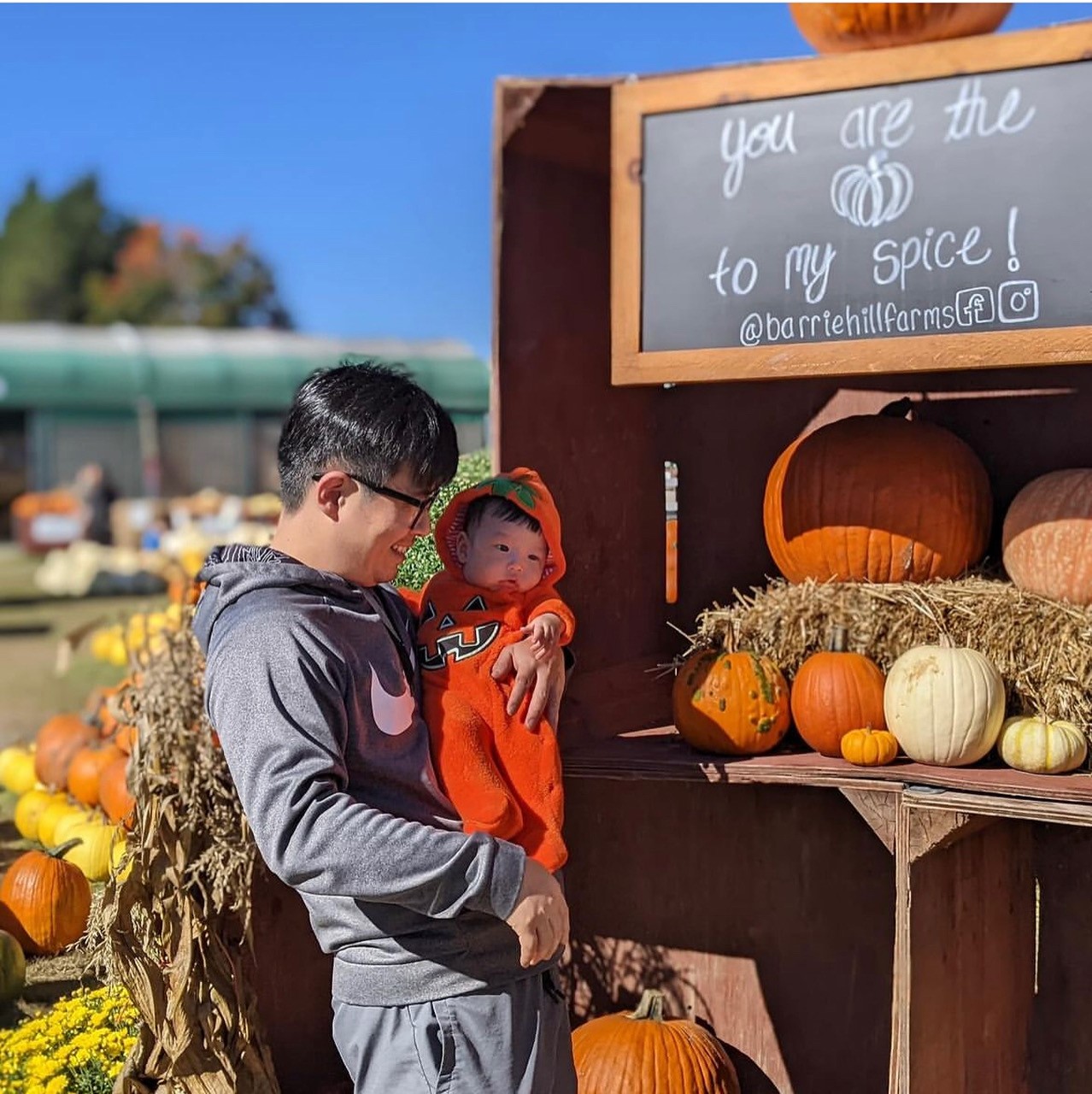 An image of a dad with a baby at a pumpkin patch.