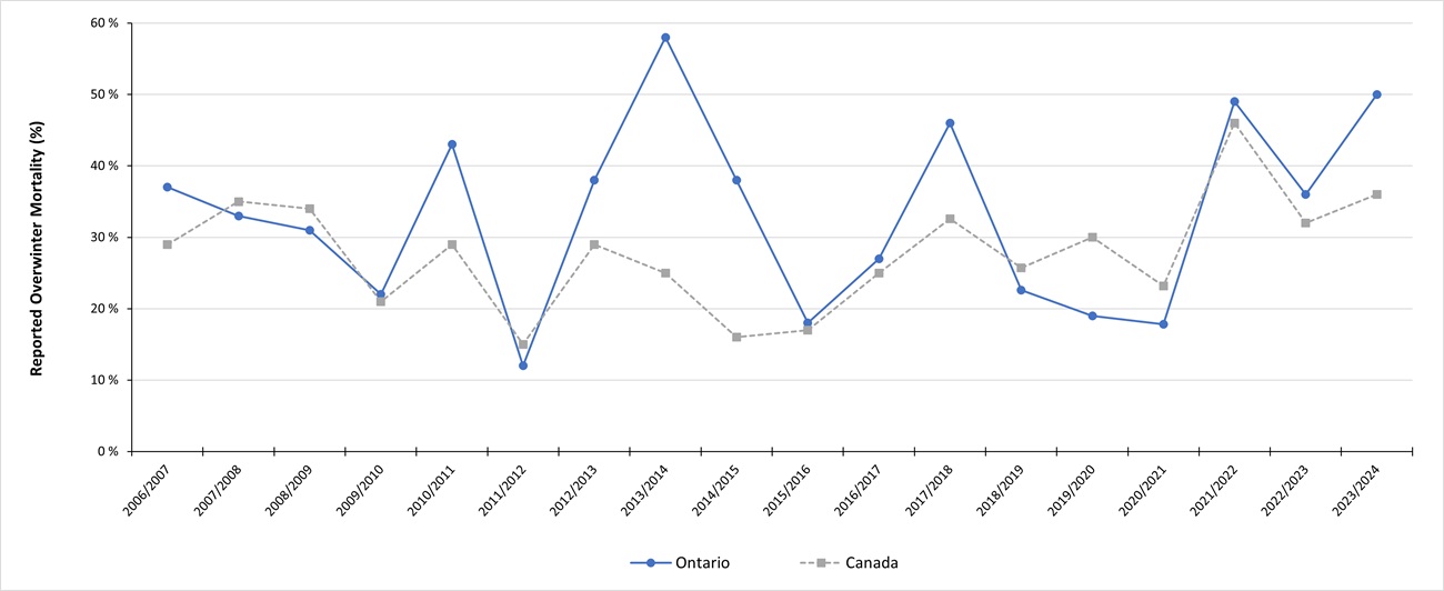 The percentage of overwinter mortality reported by beekeepers in both Ontario and Canada from 2007 to 2024