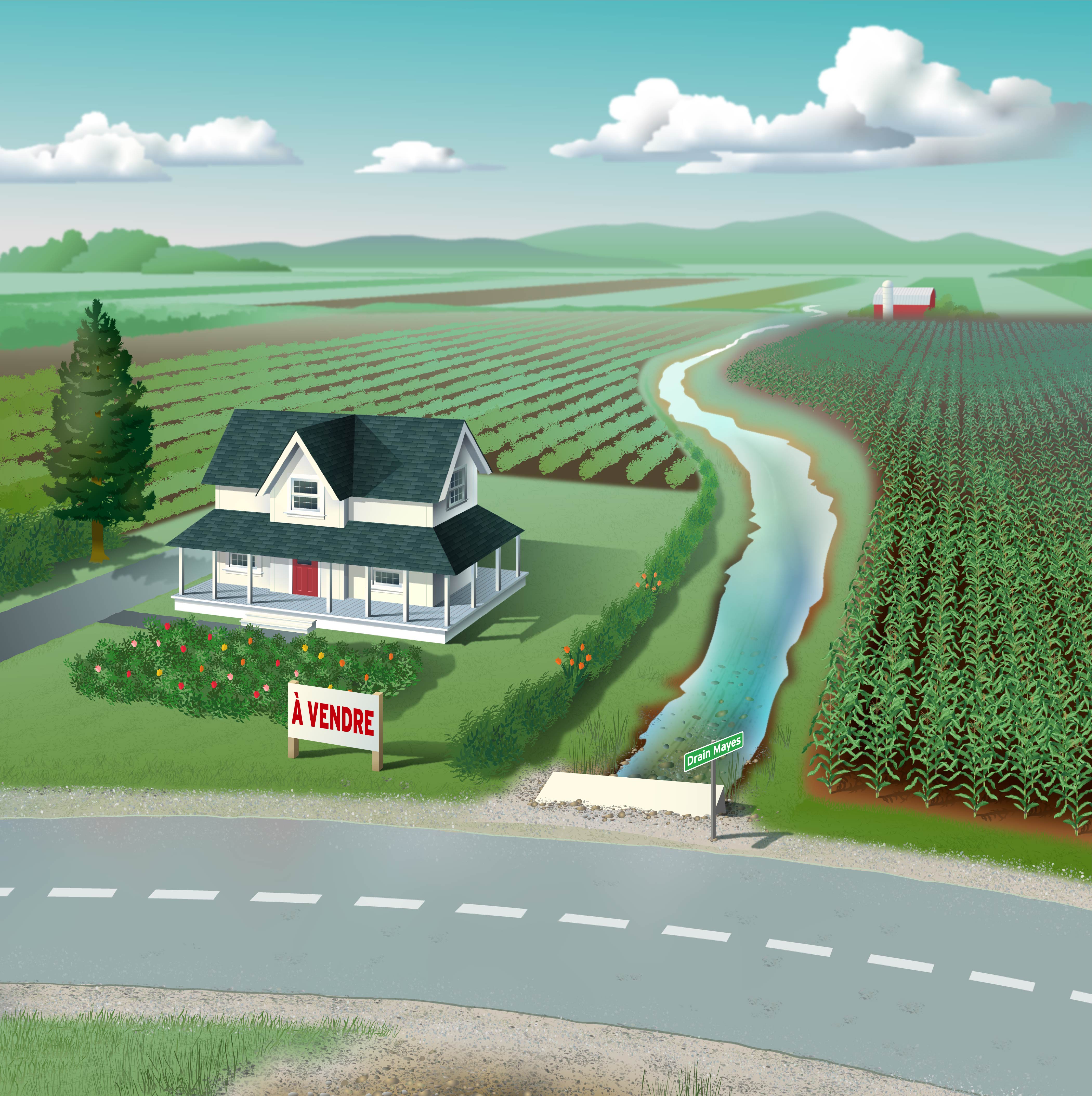 une maison de ferme avec un panneau « À vendre » à l’avant, sur la pelouse, et un drain longeant le côté droit du terrain.