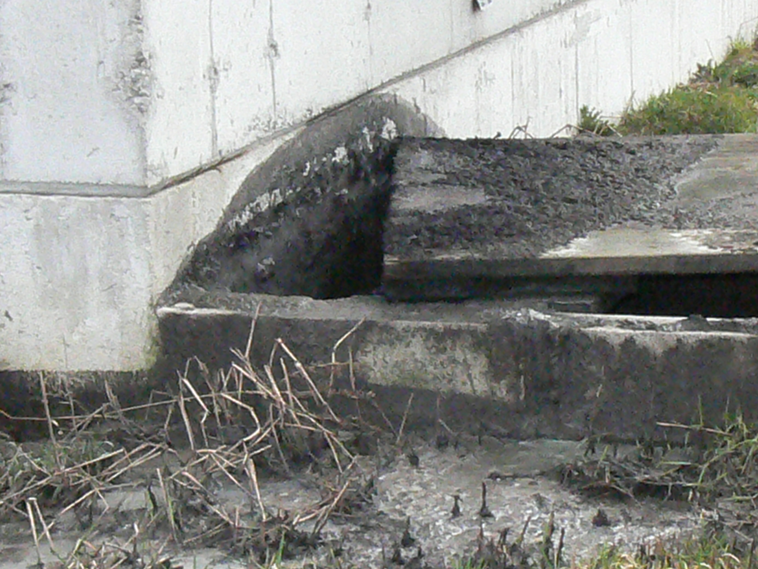manure foaming from a pump-out pit of a swine finishing barn