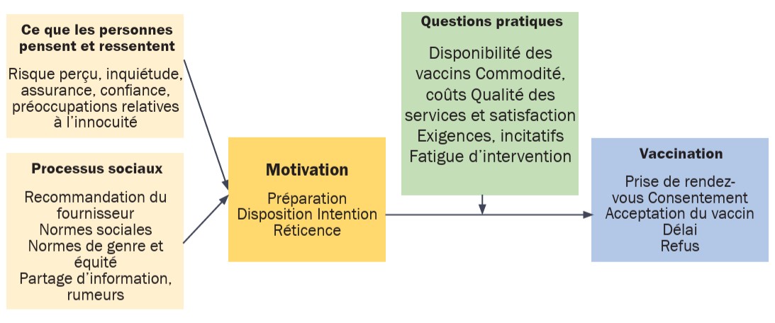 Les facteurs comportementaux et sociaux du cadre de vaccination