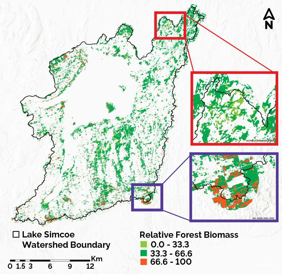 Map illustrating above-ground forest biomass on the Lake Simcoe watershed