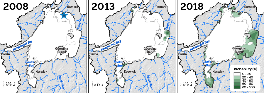 Maps of starry stonewort biomass in 2008 (left), 2013 (middle) and 2018 (right) showing increasing coverage over time along the shoreline