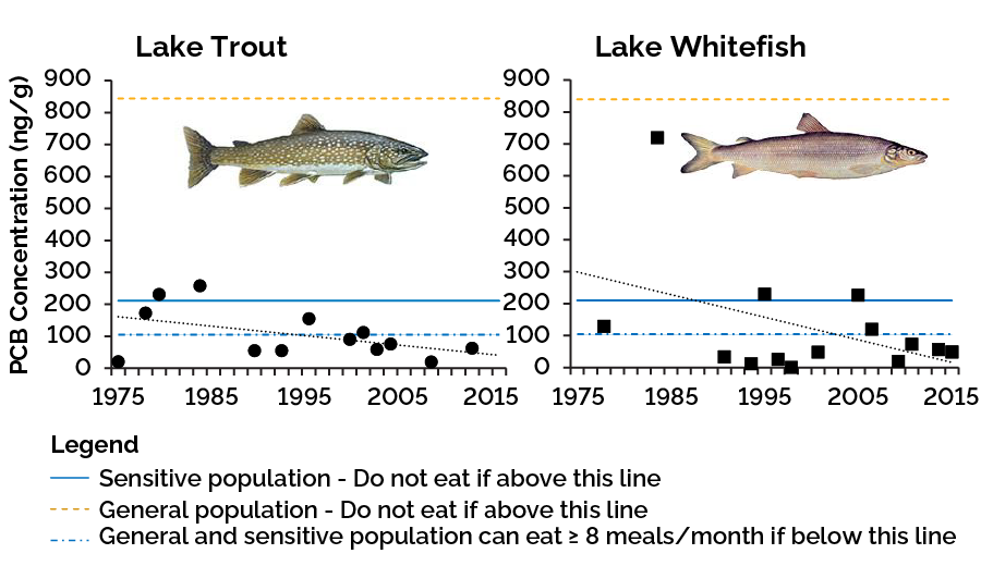 Polychlorinated biphenyl (PCB) concentrations in 2 Lake Simcoe fish species from the 1970s to 2022