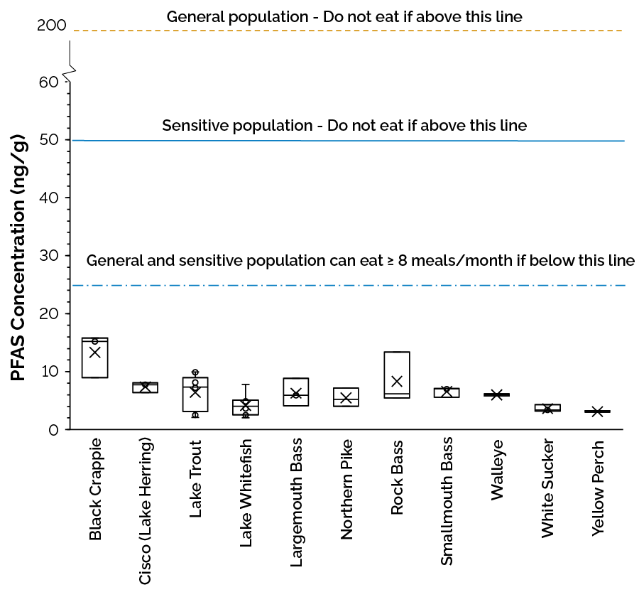 Boxplot of per- and polyfluoroalkyl substances (PFAS) concentrations (sum of 16 compounds) in 11 Lake Simcoe fish species