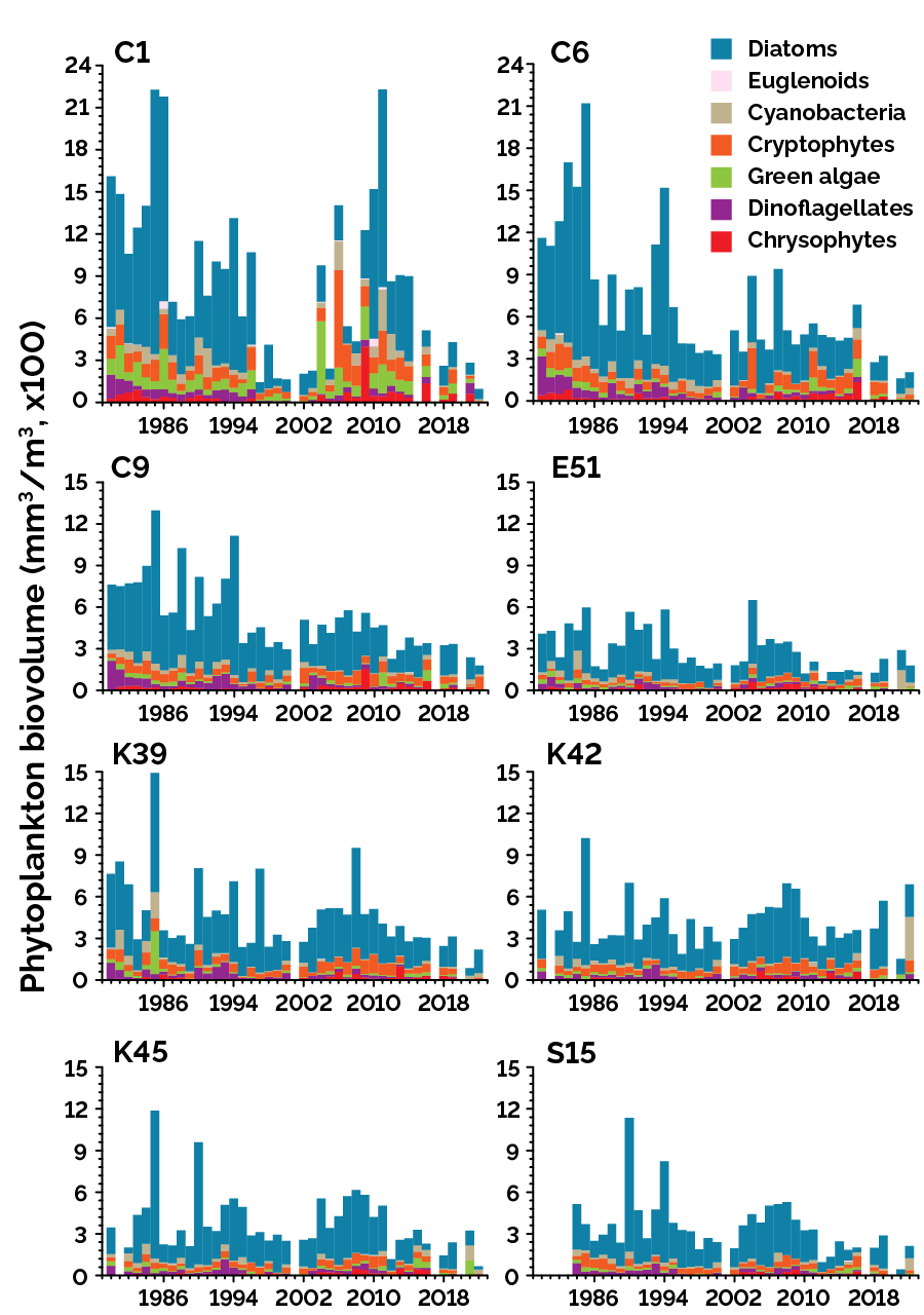 Biovolume of 7 phytoplankton classes shown for each of the 8 MECP lake stations from 1980 to 2022
