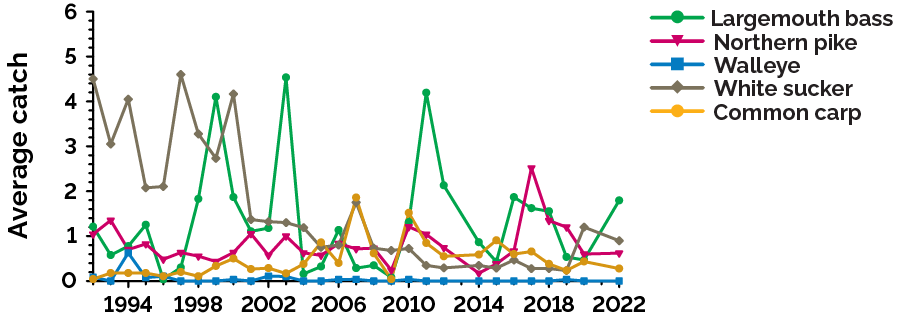 Warmwater fish species with lower relative abundance collected with MNR’s nearshore monitoring program from 1992 to 2022