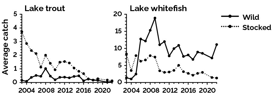 Relative wild and stocked abundance of 2 coldwater fish species in Lake Simcoe from 2003 to 2022
