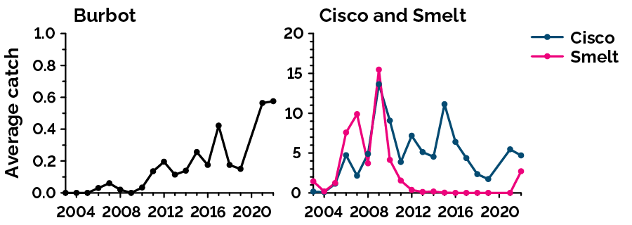 Relative abundance of 3 coldwater fish species in Lake Simcoe from 2003 to 2022