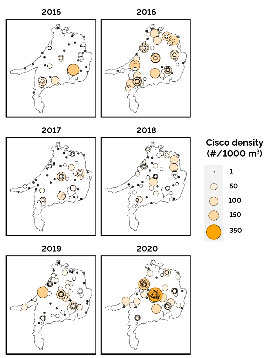 Maps showing spatial distribution of larval (newly born) cisco in Lake Simcoe for 6 years from 2015 to –2021