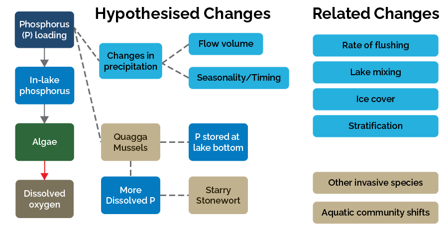 A simplified diagram representing complex changes that have occurred in Lake Simcoe