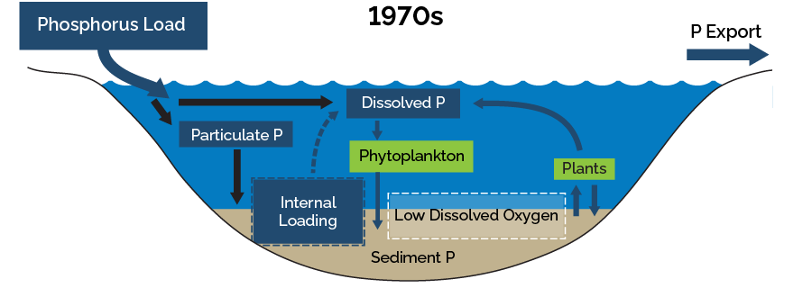 Diagram illustrating Lake Simcoe in the 1970s when there were excessive amounts of phosphorus inputs