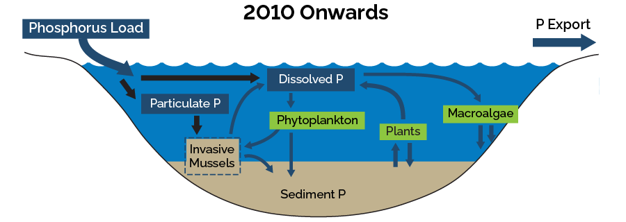 Diagram illustrating 2010 onwards when 3 additional invaders established: quagga mussel, starry stonewort and round goby