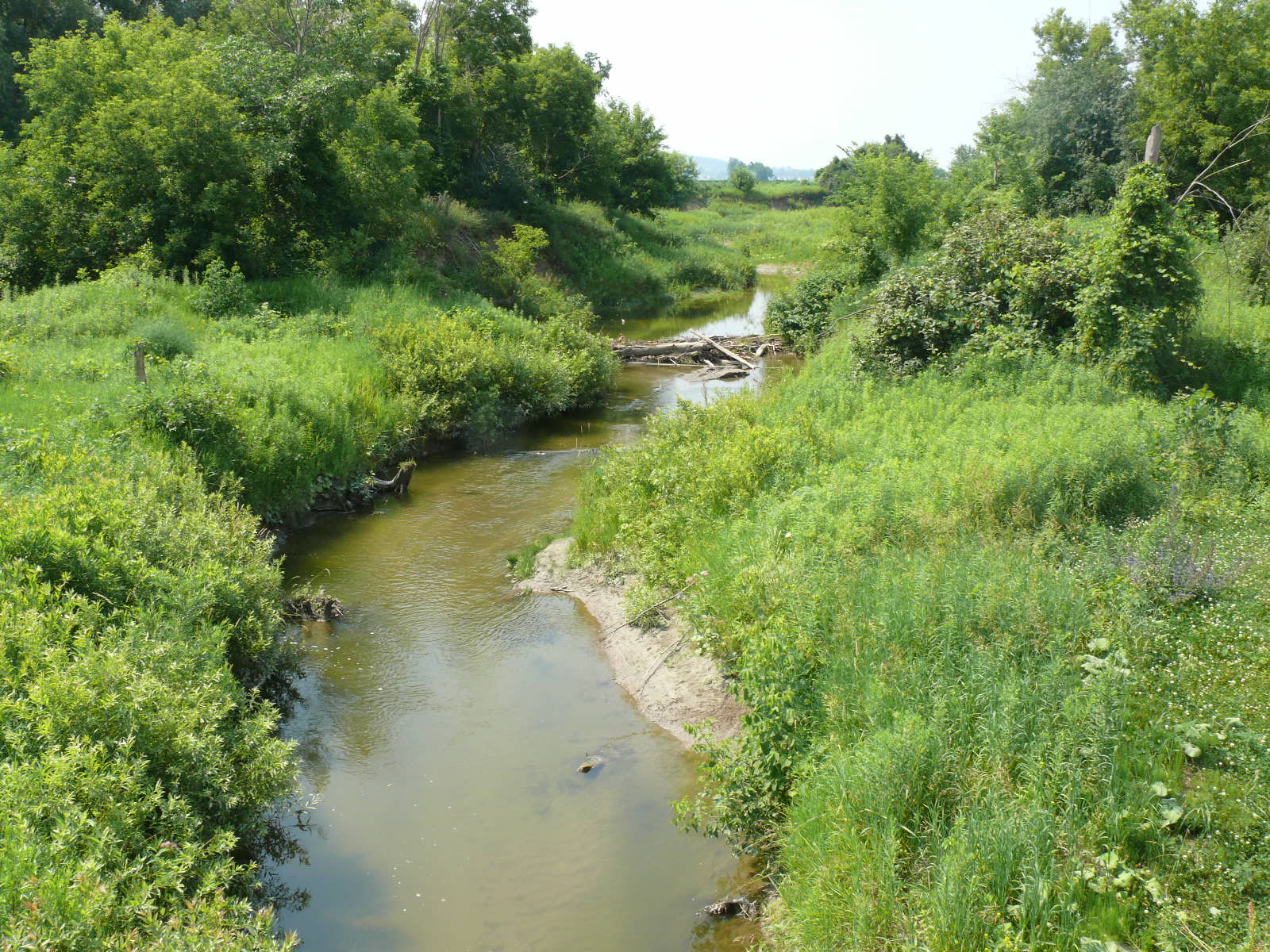 Un cours d'eau naturel entouré de végétation verdoyante de part et d'autre.