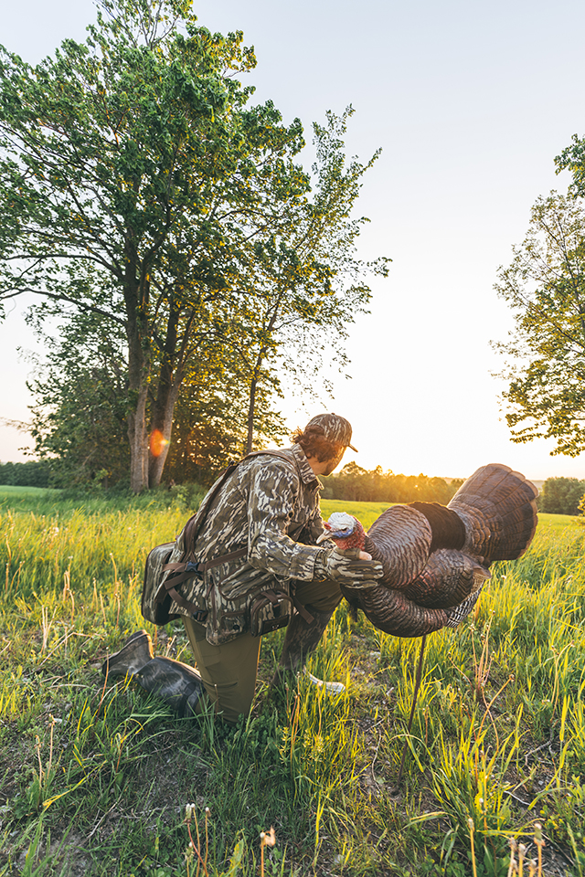 A hunter wearing camouflage out in a field, holding a turkey decoy.