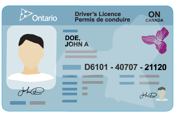 Exemple de Ontario Permis de conduire