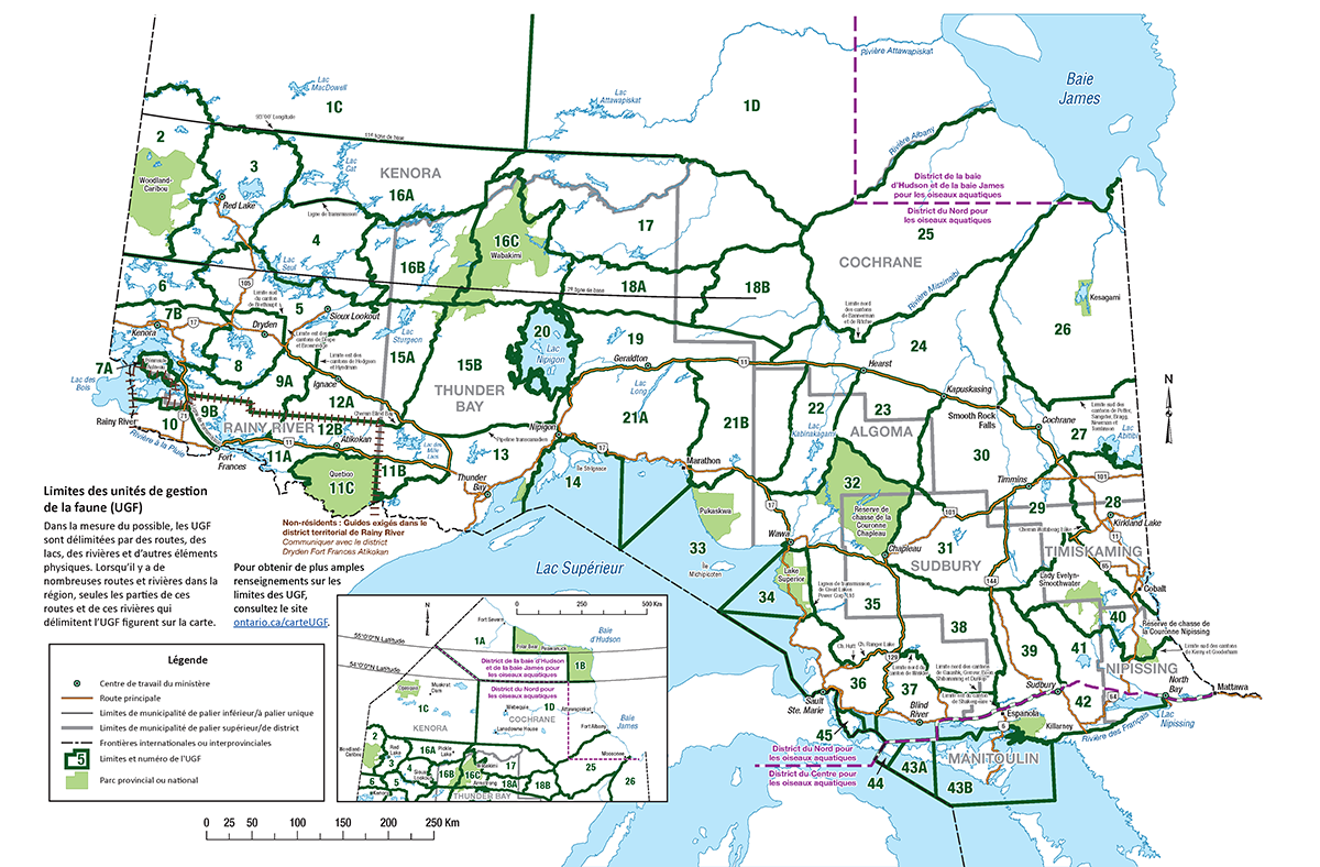 Carte 3 des unités de gestion de la faune – Nord de l’Ontario.