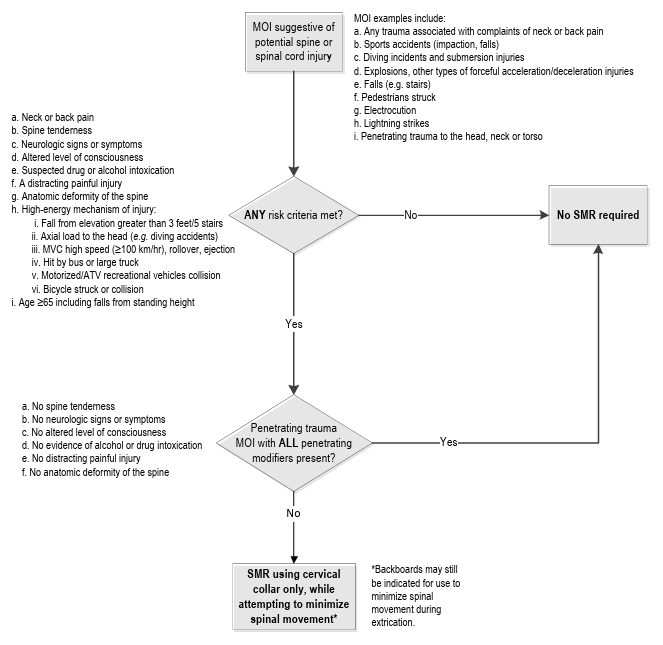This prompt card provides a quick reference of the Spinal Motion Restriction (SMR) Standard contained in the Basic Life Support Patient Care Standards.