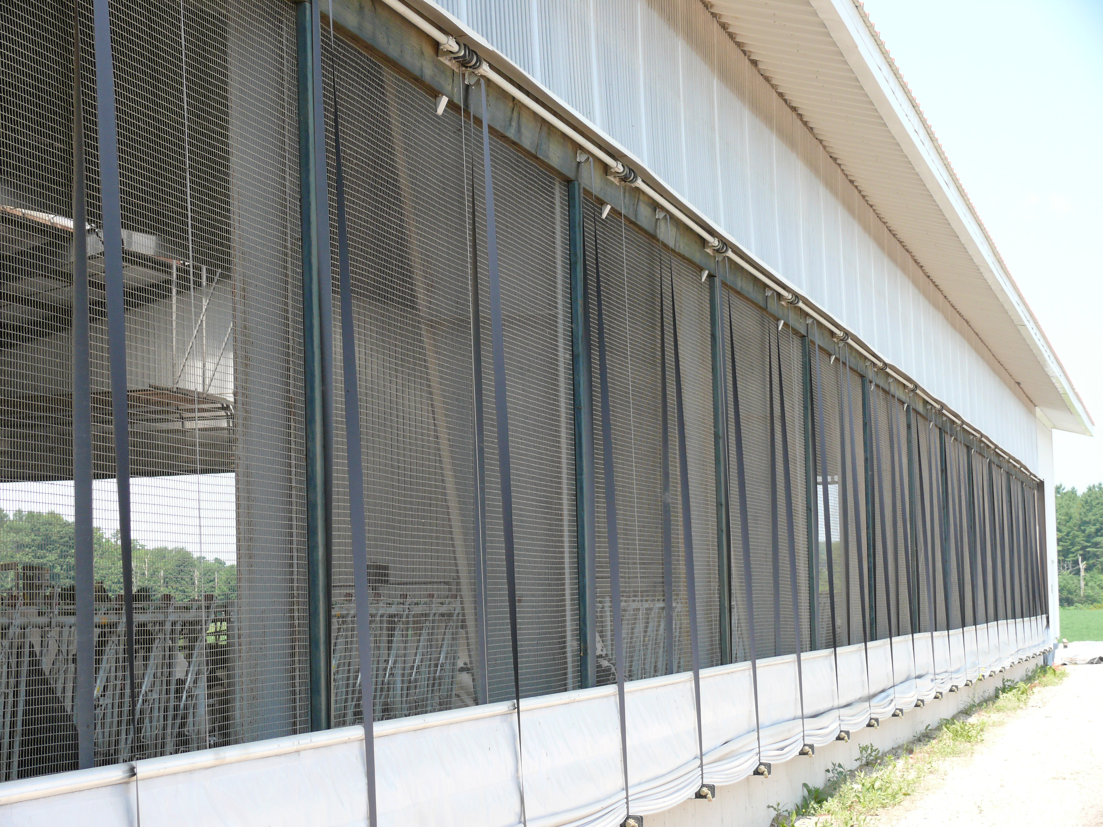 Figure 3 shows the open side of a dairy barn with bird screens across the openings.