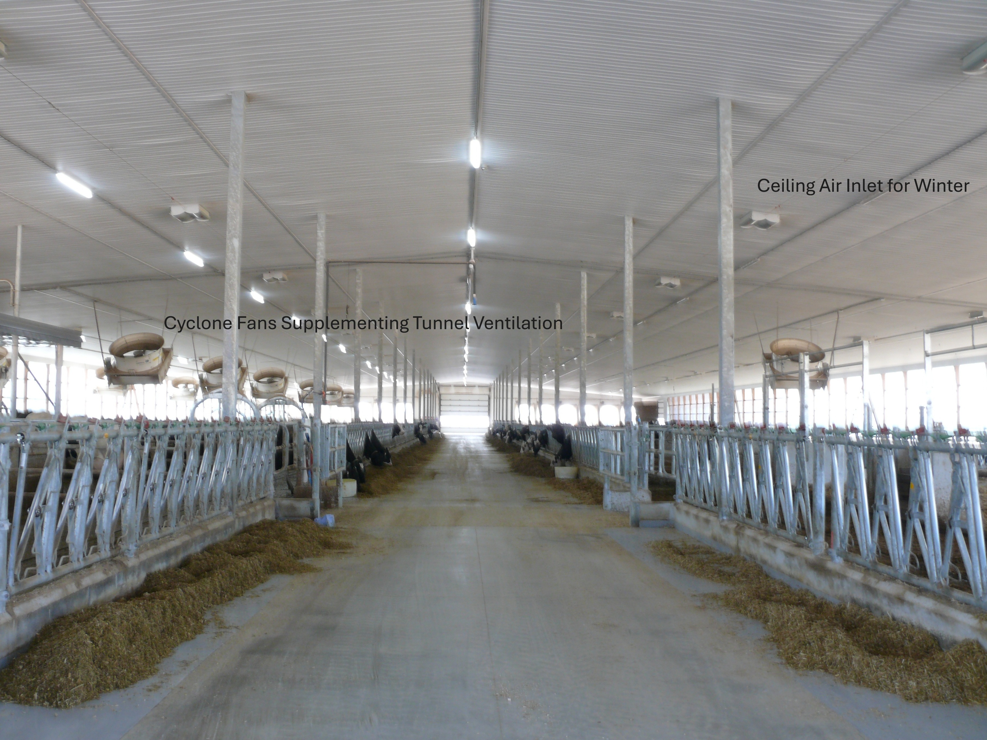 Figure 8 shows a tunnel-ventilated barn showing supplementary fans (cyclone fans) and air inlets at the ceiling for winter ventilation.