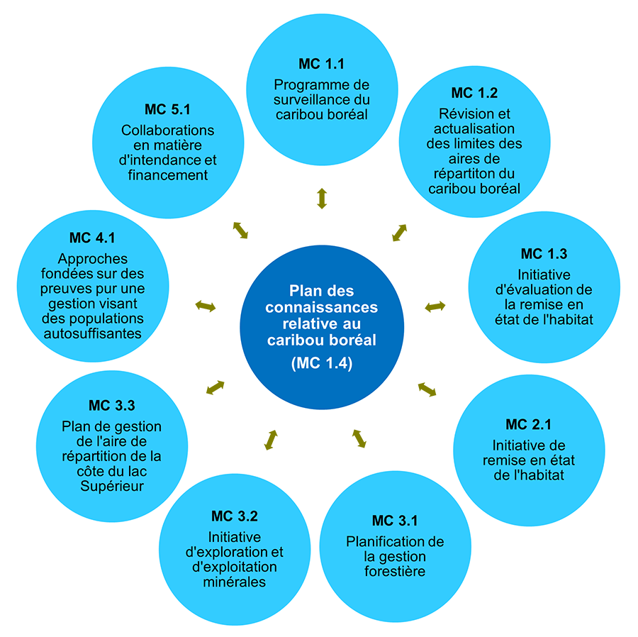 Figure 1. Boreal Caribou Knowledge Plan (BCKP) links to other Conservation Measures (CMs) in the Canada-Ontario Caribou Conservation Agreement (CCA).