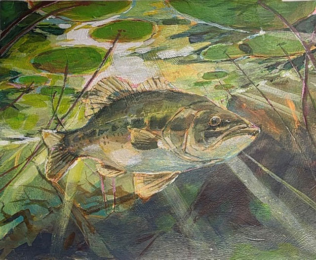 Achigan à grande bouche sous des nénuphars