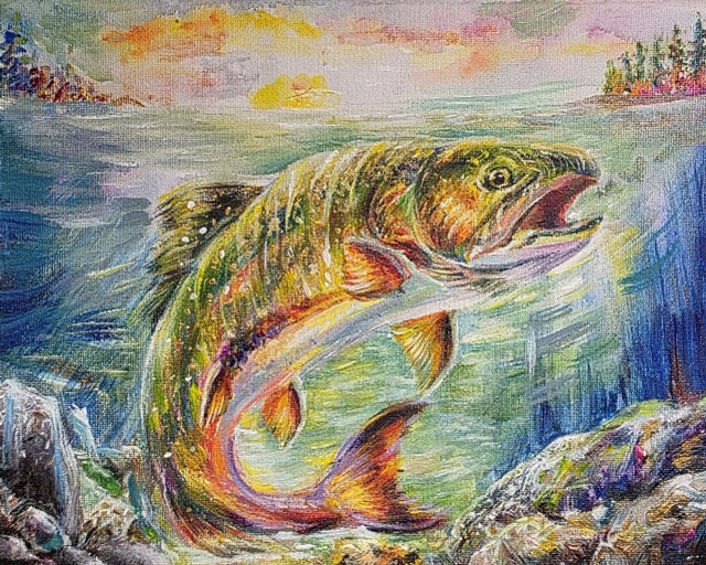 Truite moulac nageant dans un ruisseau rocheux