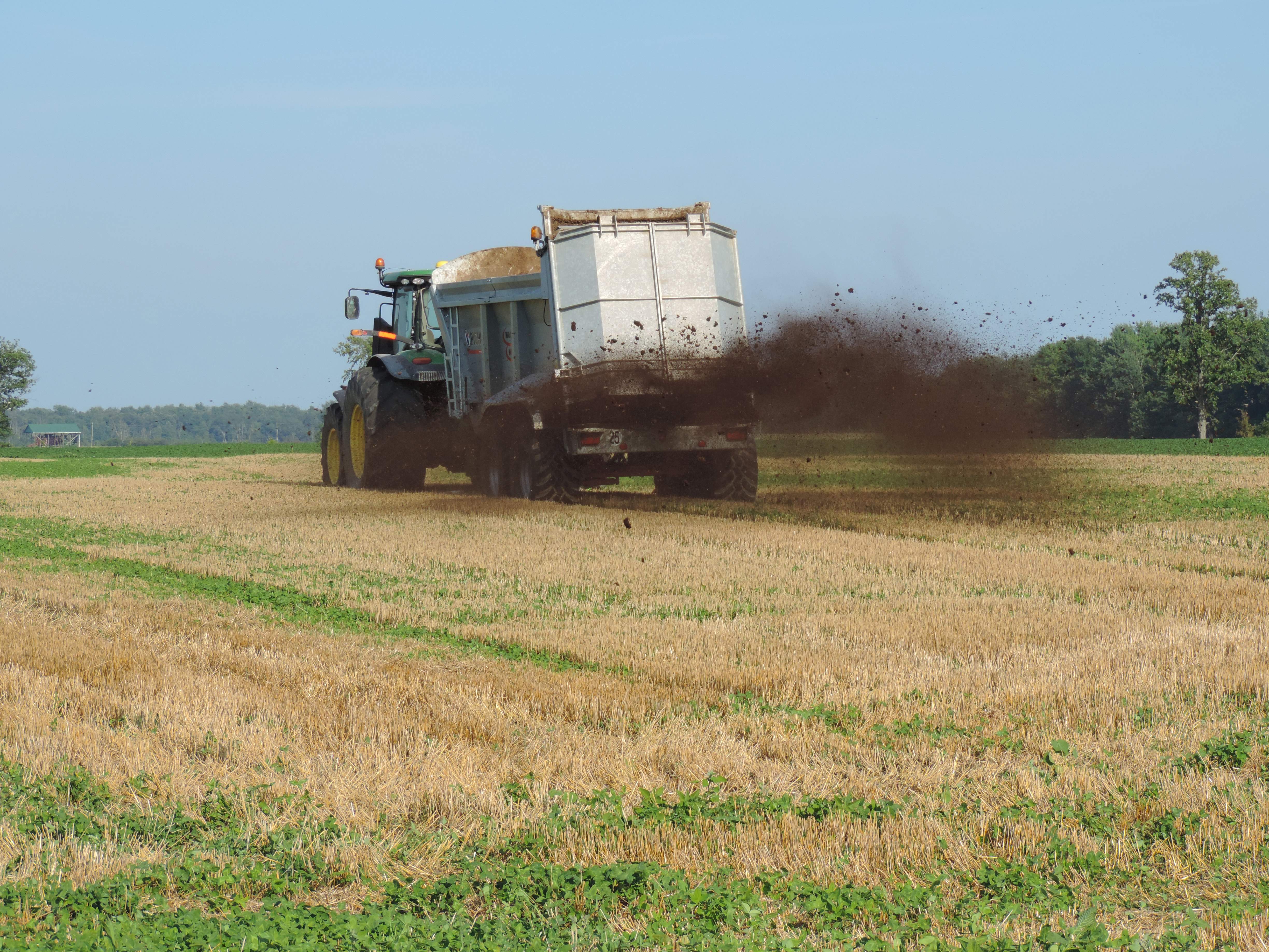 un tracteur vu de l’arrière qui épand du fumier solide sur un champ de blé récemment récolté