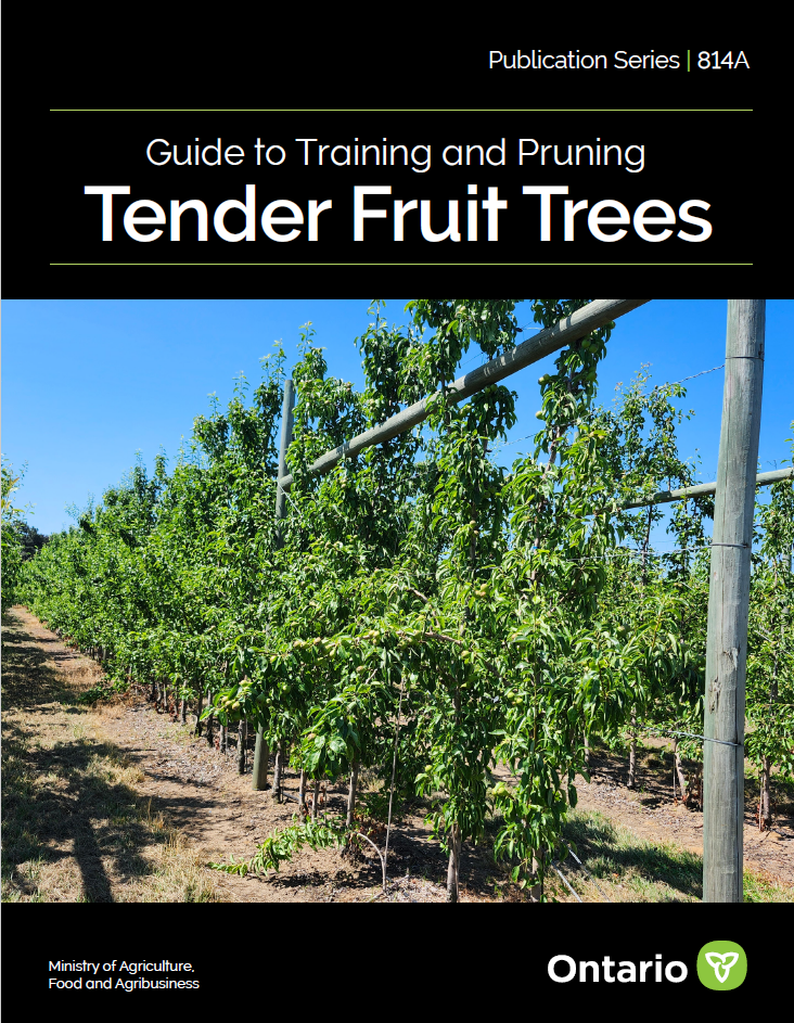 Publication 814A: Guide to Training and Pruning Tender Fruit Trees
