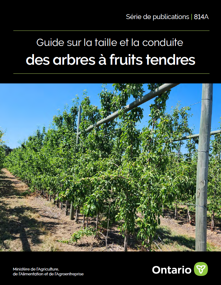 Publication 814A : Guide sur la taille et la conduite des arbres à fruits tendres