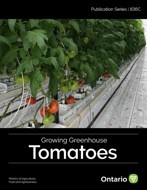 Growing Greenhouse Tomatoes publication cover