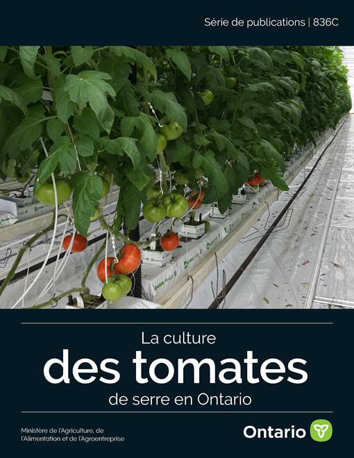 Couverture de livre La culture des tomates de serre en Ontario