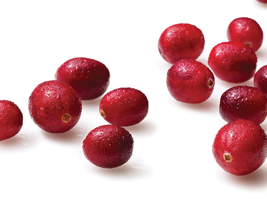 Fresh cranberries harvested in Ontario fields