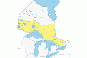 Ontario Crown Land Use Policy Atlas (CLUPA) Manual