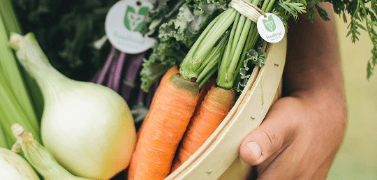 A hand holding a basket of fresh Ontario produce