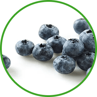 Image de Bleuets